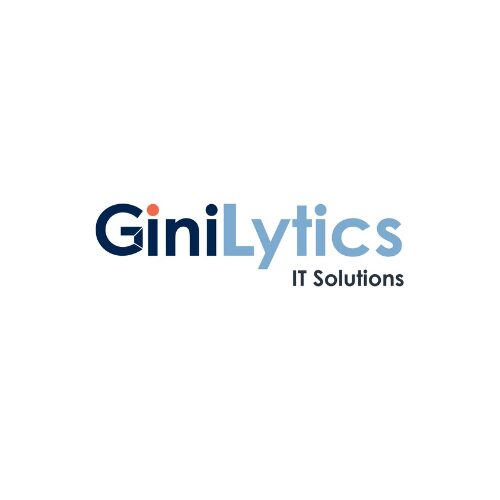 500x500 logo ginilytics